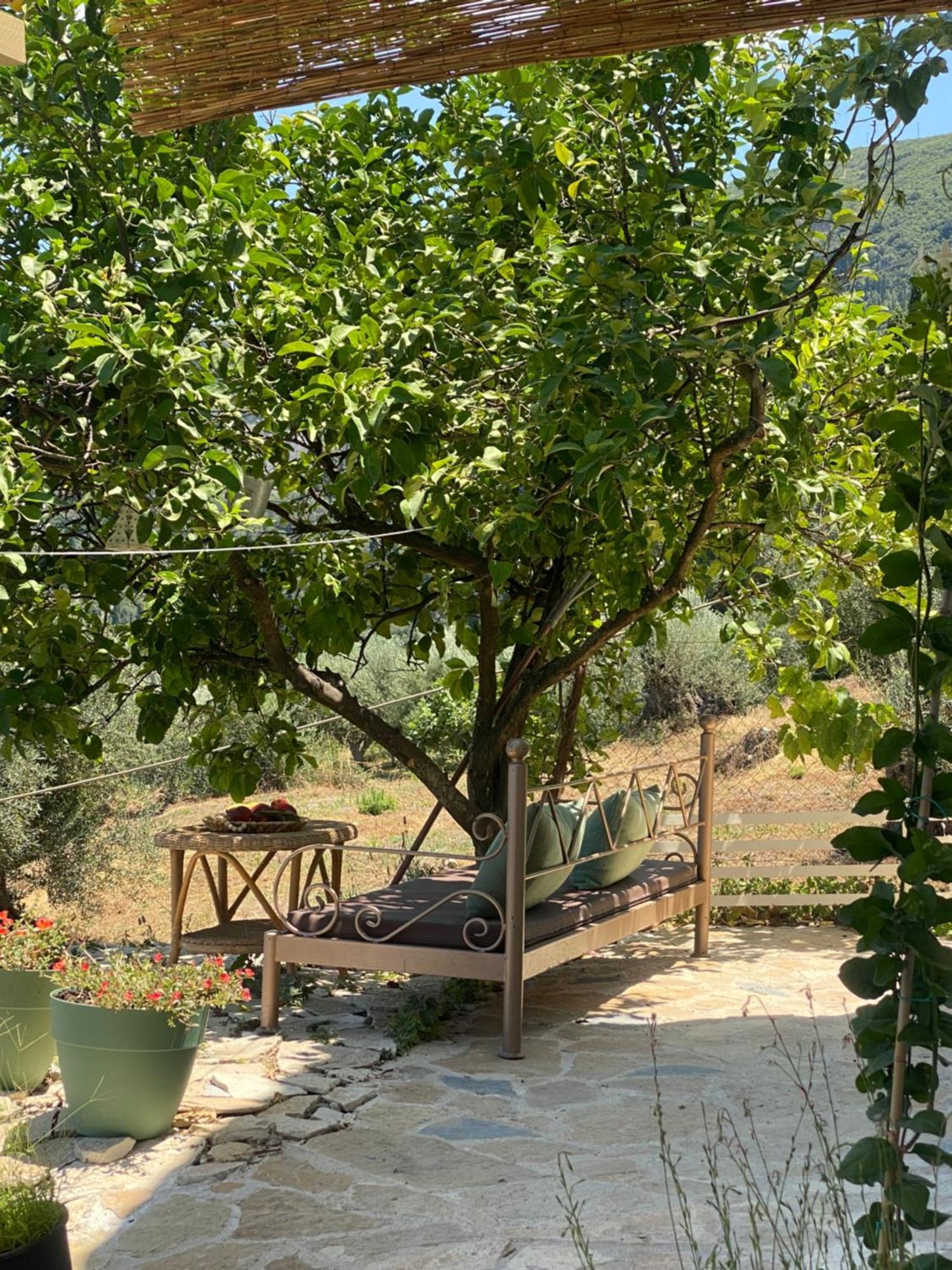 Vakantiehuis Dinateli - Live Like A Local In Corfu *