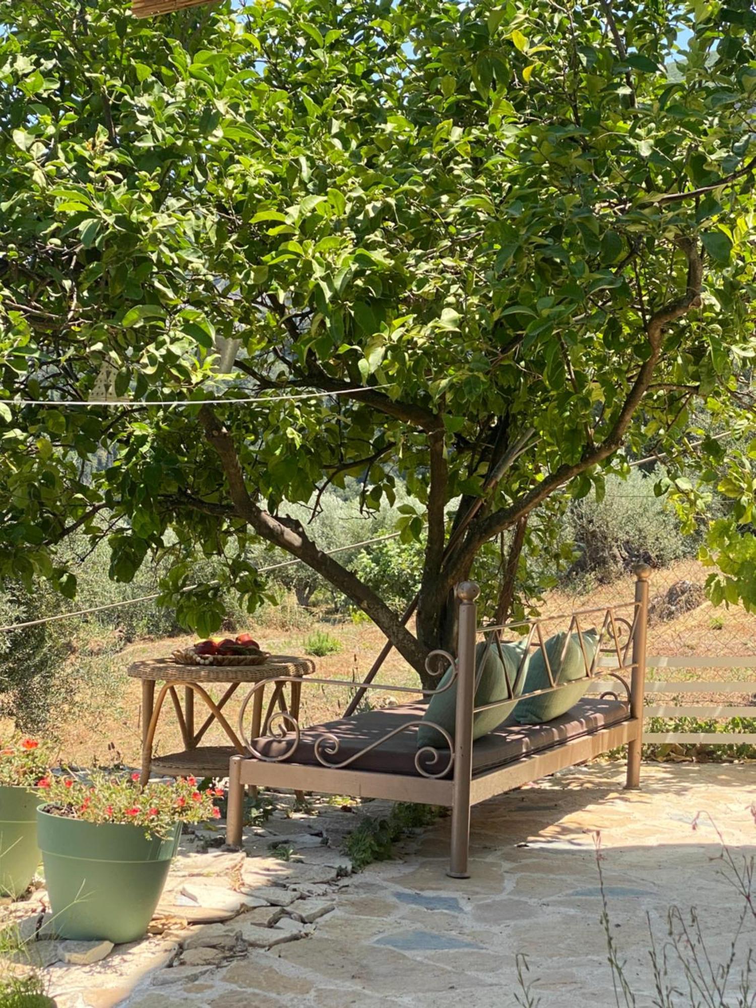 Dinateli - Live Like A Local In Corfu Vakantiehuis *