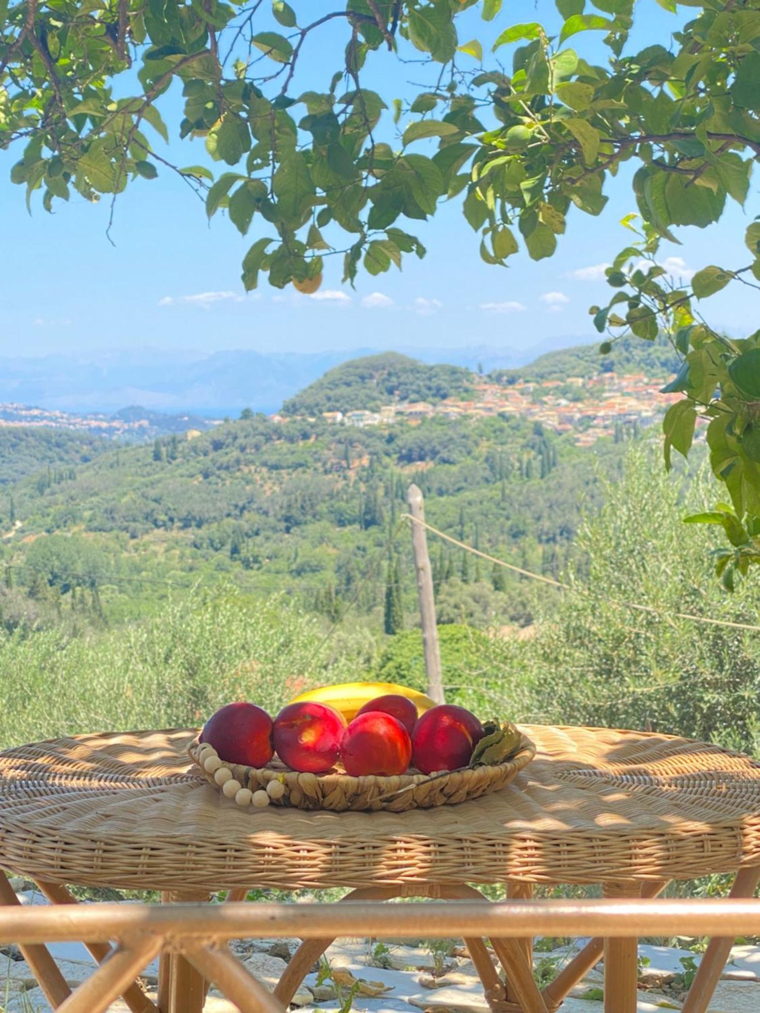 Dinateli - Live Like A Local In Corfu Vakantiehuis *